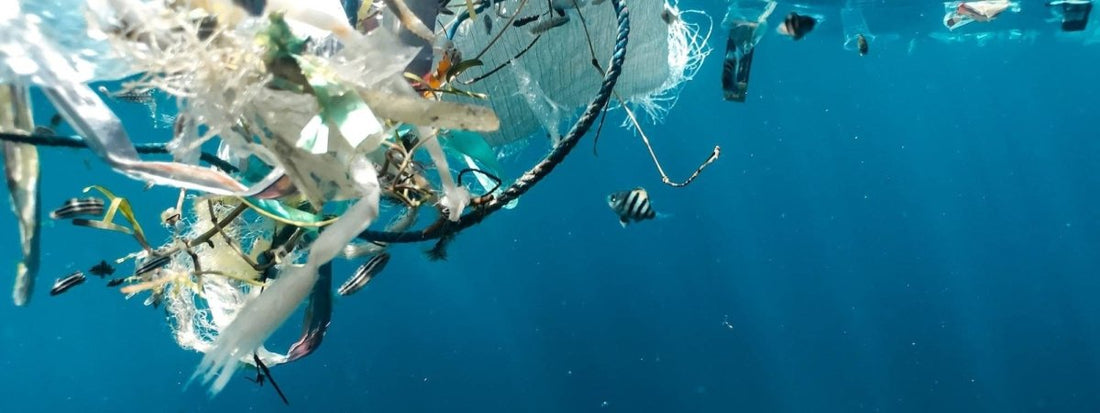 The Environmental Impact of Plastic Breast Milk Storage Bags and Bottles - Burrbaby